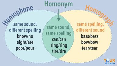 homophone of gamble|Homophones and Homonyms GAMBLE .